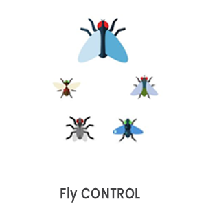 fly control pest control dubai