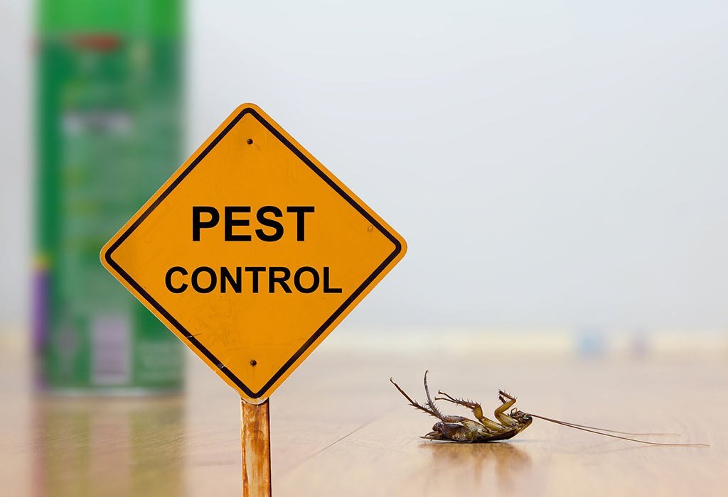 BENEFITS OF PEST CONTROL