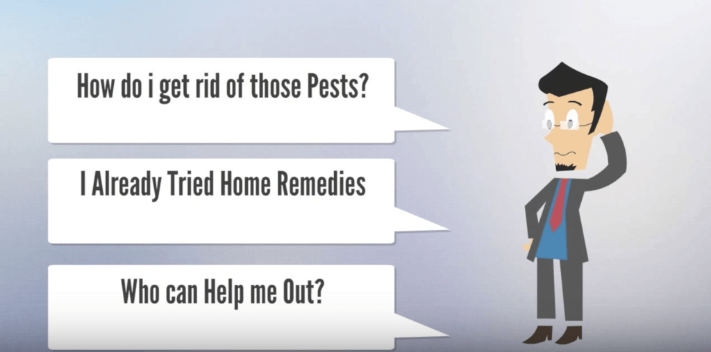 BENEFITS OF PEST CONTROL