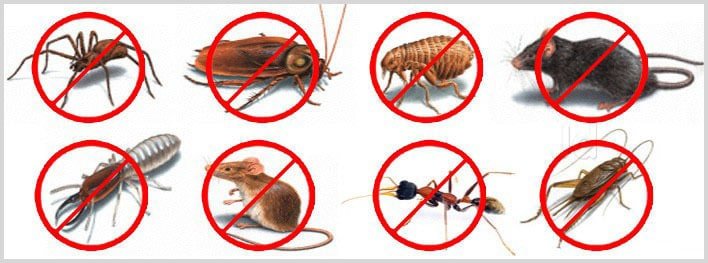 Commercial pest control 