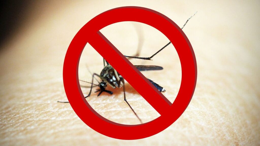 mosquito control methods