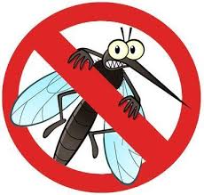 Mosquito Control, Mosquitoes Control Services - Pestcare Services India,  Gurgaon | ID: 19938853062