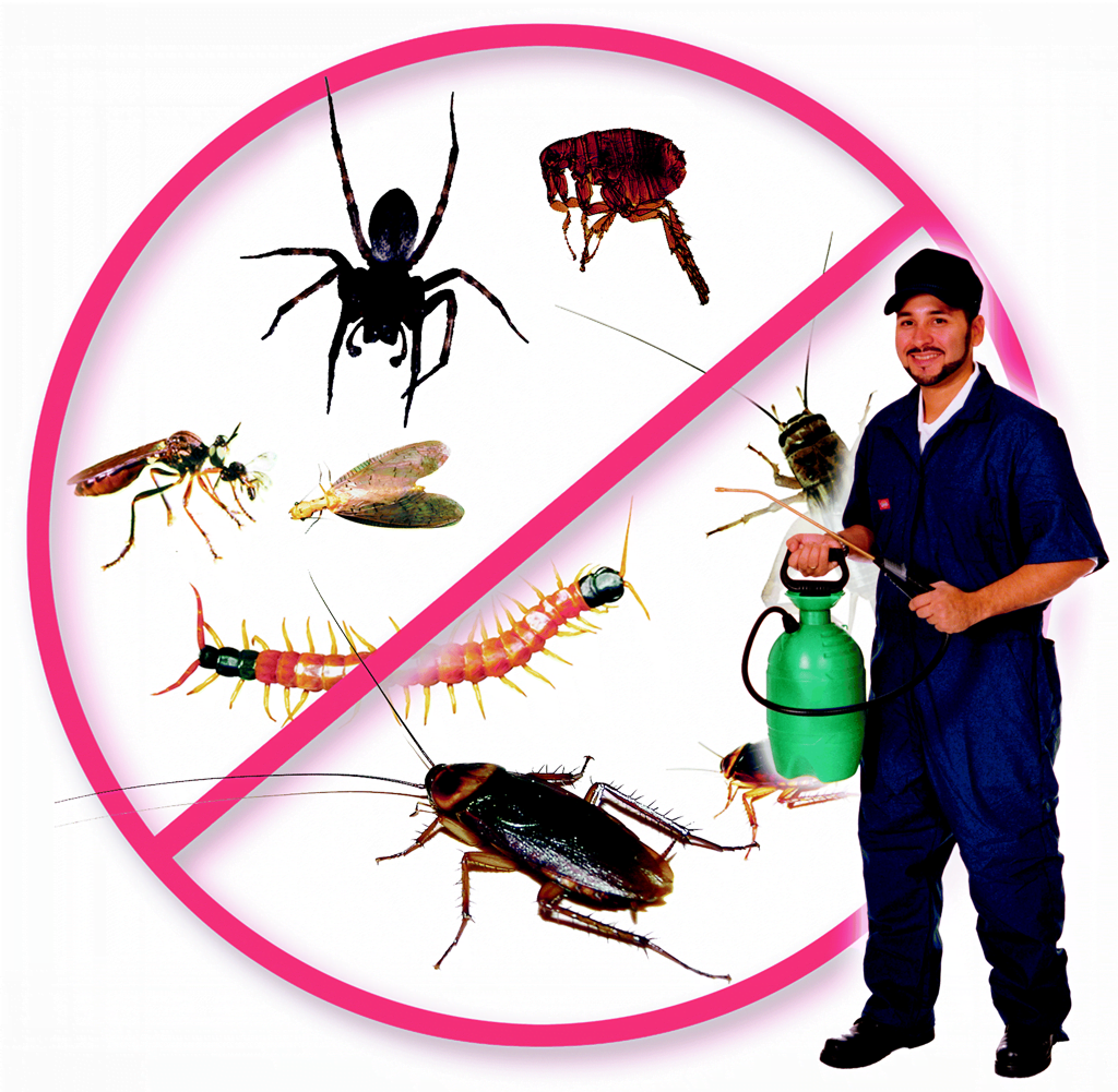 institutional pest control