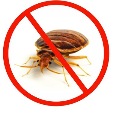 bedbug controlbedbug by starpest control