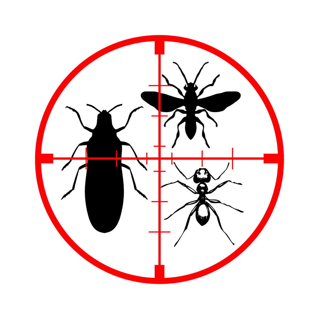 General Approaches To Insect Control Dubai