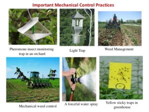 ipm pest pests insect control