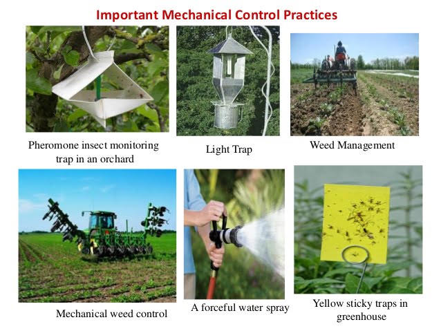 integrated pest management