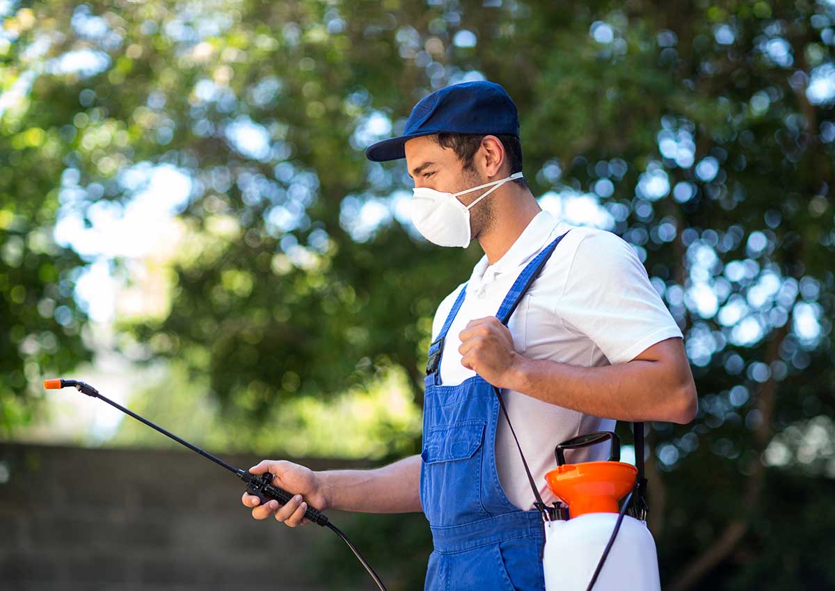 Pest Control And Cleaning Service in dubai