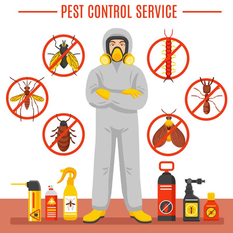 professional pest control