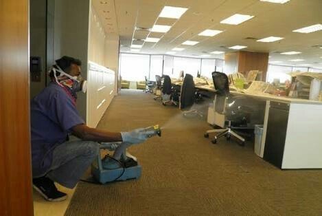 pest control in office