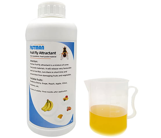 fruit fly control Dubai