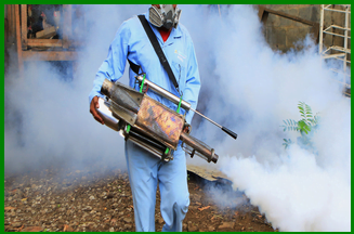 pest control by fumigation