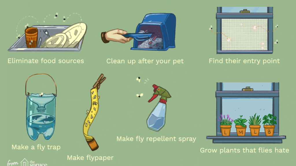 Natural ways to get rid of houseflies