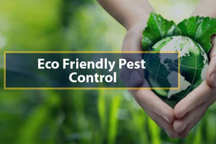 eco-friendly ways to get rid of pests