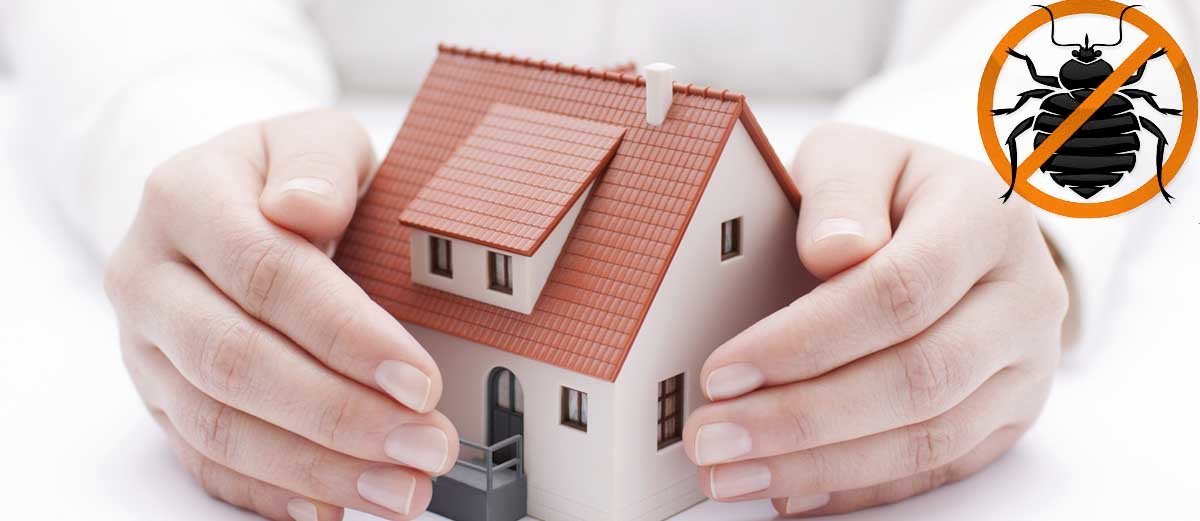 Domestic Pest Control in Abu Dhabi NewStar Pest Control