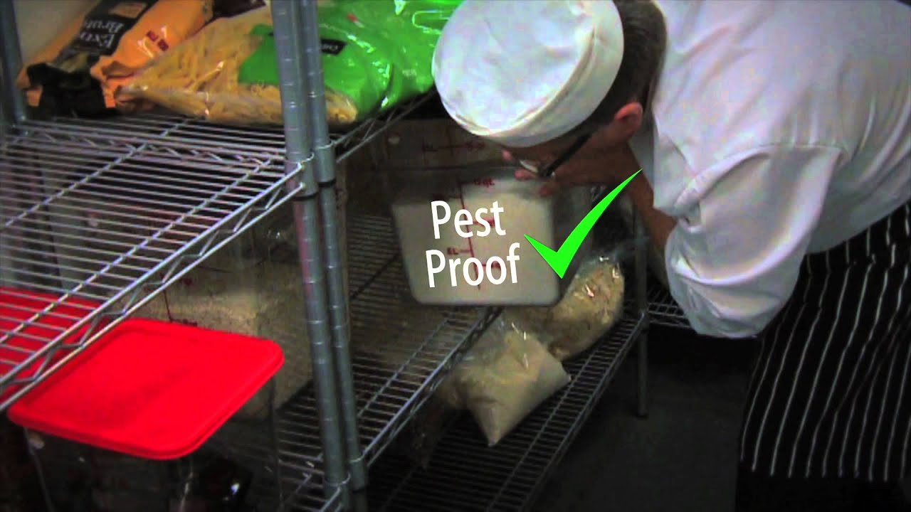 The Importance of Pest Control in Food Safety NewStar Pest Control