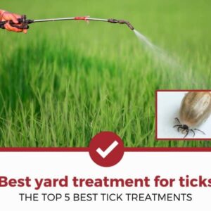 how to get rid of ticks