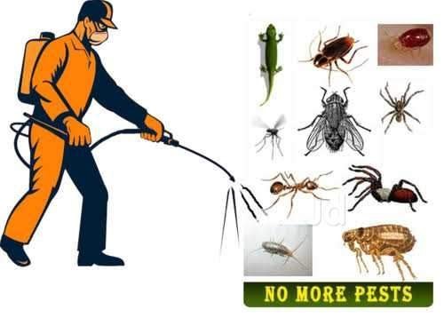 general pest control treatment