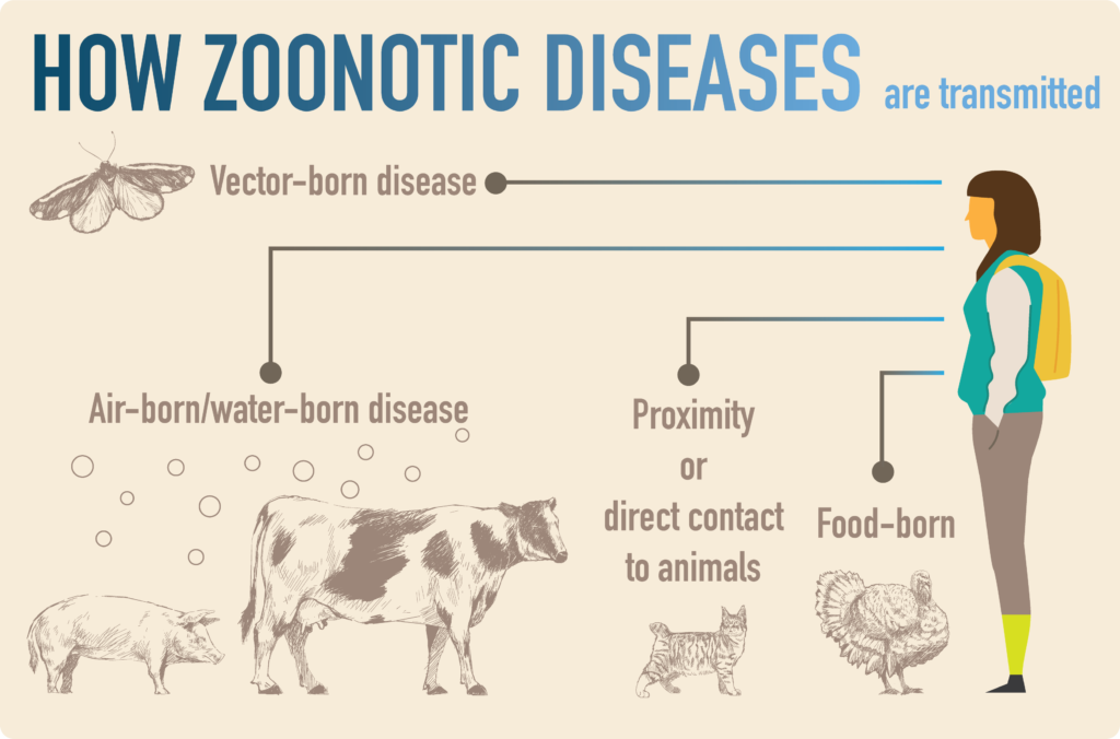 zoonotic infection