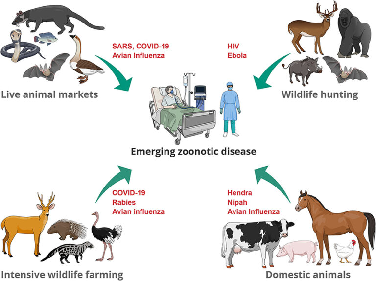 case study for zoonotic disease