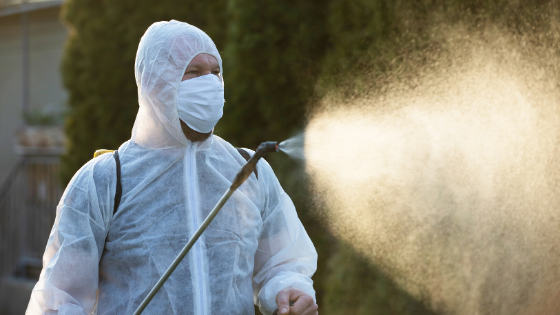 Post-pandemic pest management