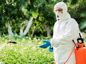 safety tips for using pesticides
