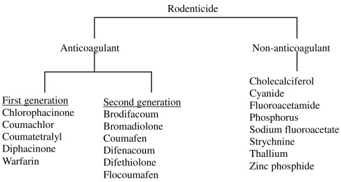 environmental risks of using rodenticides