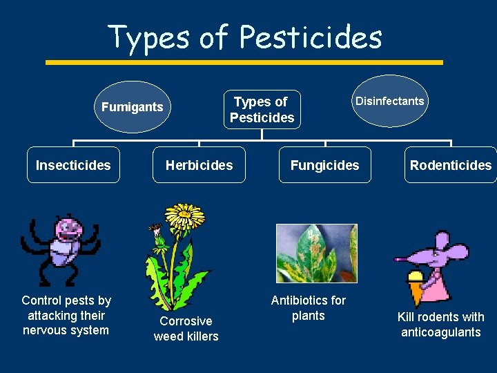 types of insecticides