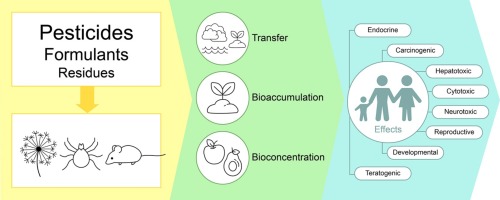 How do pesticides disrupt the human body system?