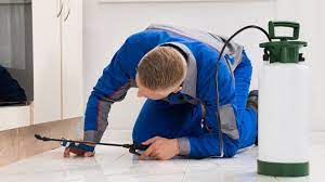 benefits of hiring pest control company