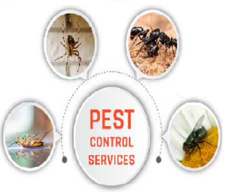 Chicago pest control services