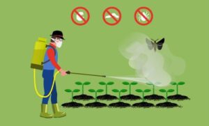 How to control pests in agriculture