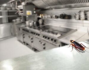 why do you need pest control for restaurants?