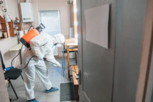 The Vital Role of Fumigation Services in Dubai’s Best Pest Control and Cleaning