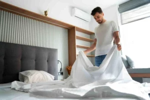 Process of Bed Bug Control Services in Dubai
