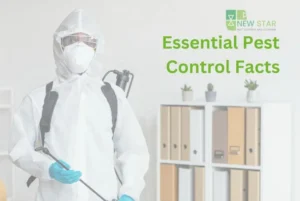 Essential Pest Control Facts You Need to Know: A Complete Guide