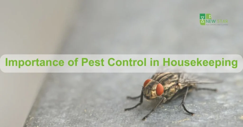 Importance of pest control in housekeeping