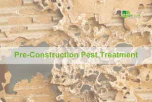 Pre Construction Pest Treatment