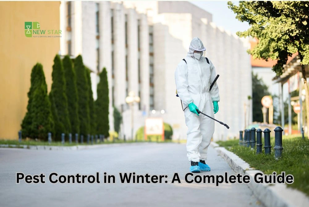 Pest control in winter