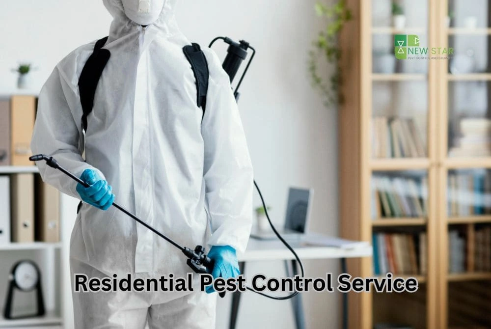 Residential Pest Control in Dubai