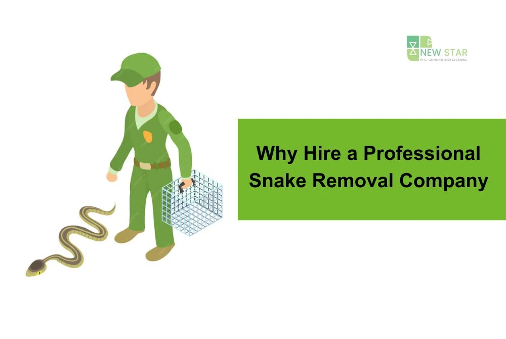 snake removal service in Dubai