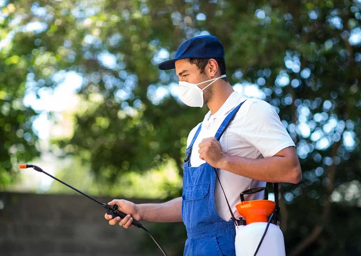 Pest Control And Cleaning Service in Ajman