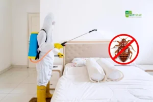 Best way to get rid of bed bugs