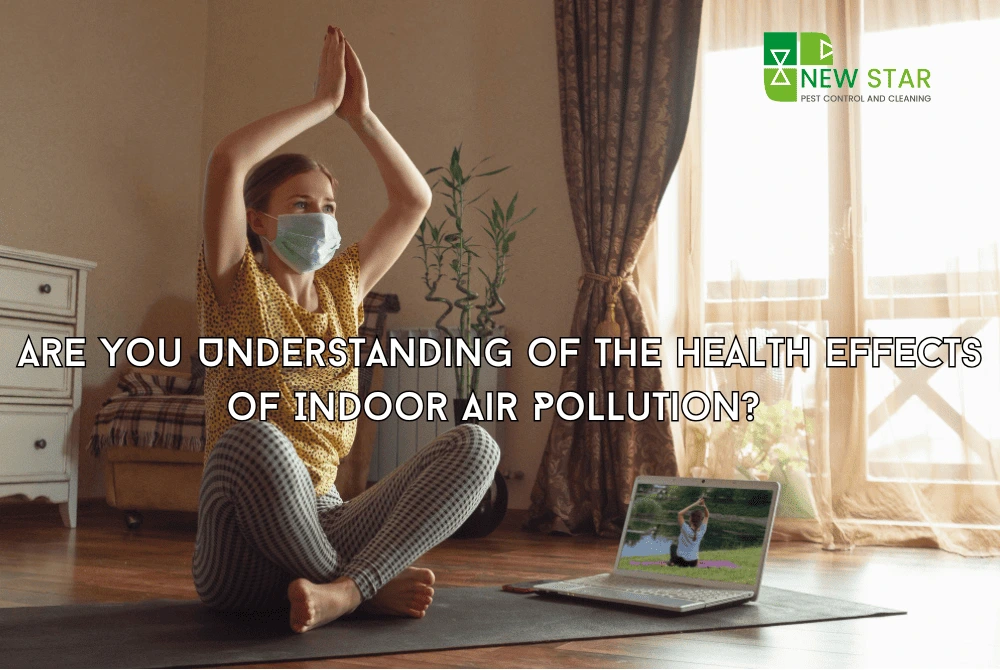 Indoor air quality and health