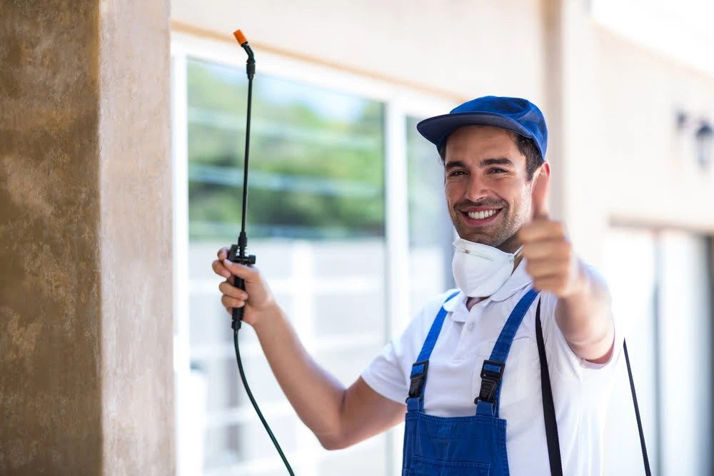 best pest control service in dubai