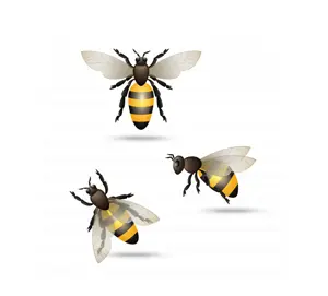 Insect control company