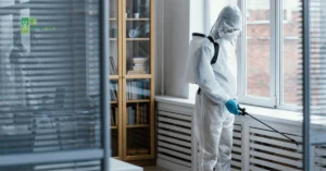 Comparing Chemical vs. Natural Termite Control Methods in Dubai