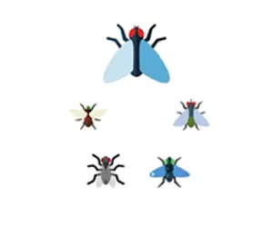 Best Pest control sharjah