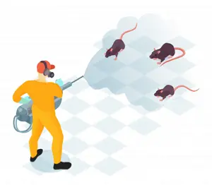 Best Pest control sharjah