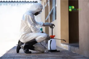 What Every Sharjah Homeowner Should Know About Hidden Pest Risks
